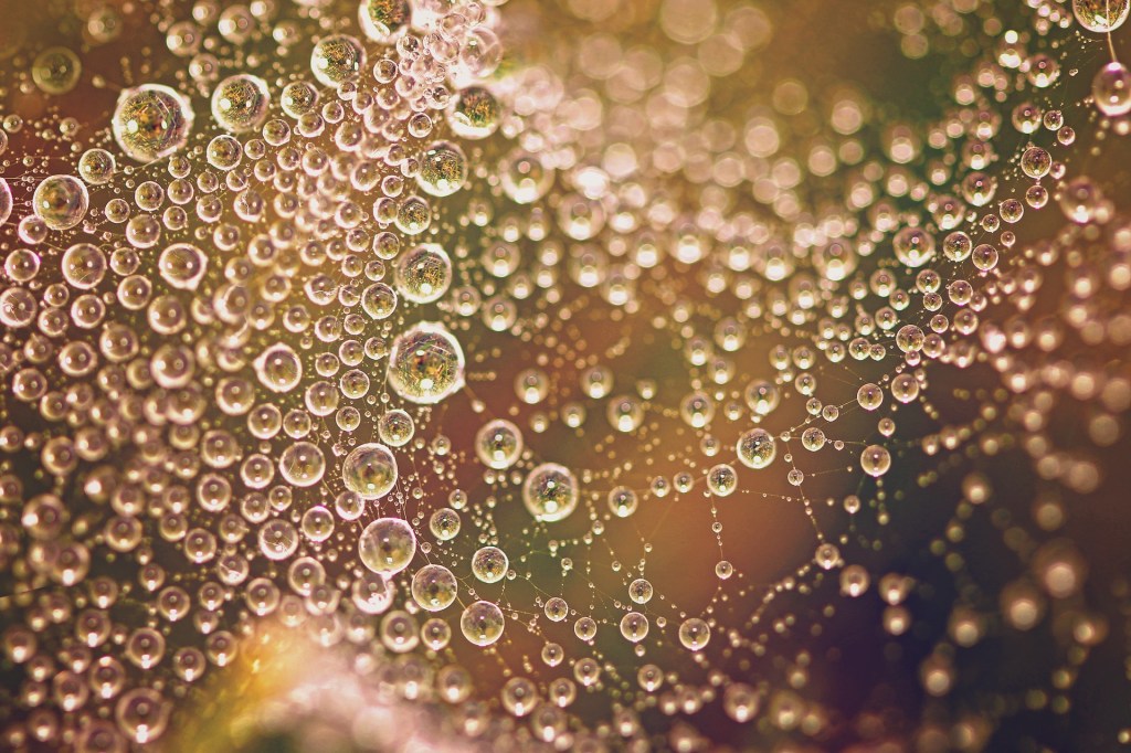 The Role of Plurilateral Agreements in the UK’s Post-Brexit Trade&nbsp;Strategy