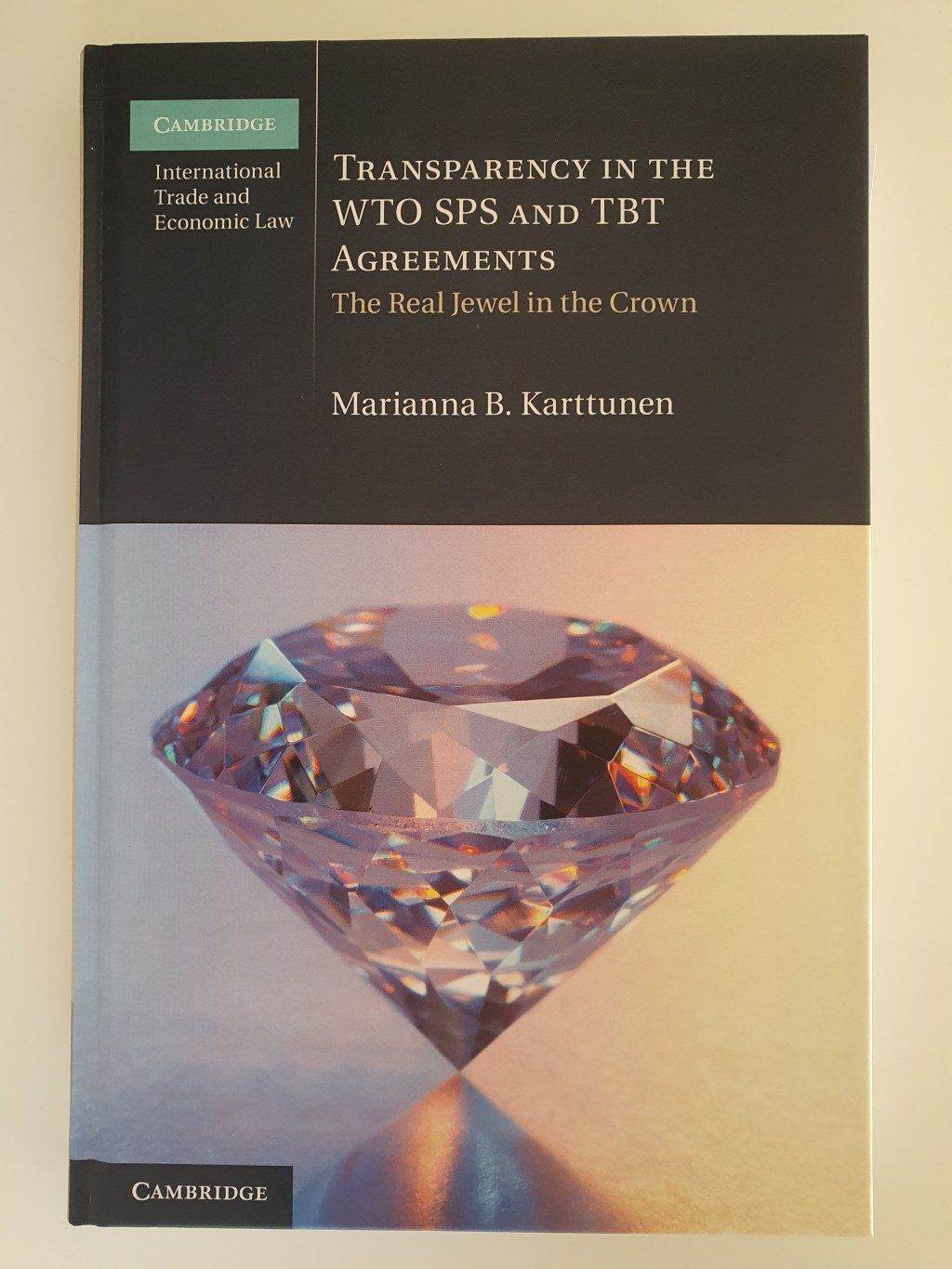 Book Review on the “WTO Disputing&nbsp;Pyramid”